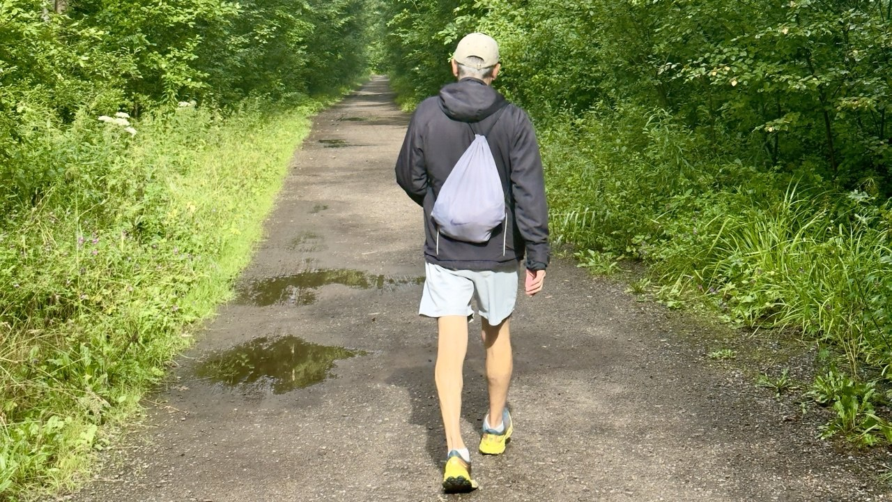 Не обязательно видеть весь путь. Иногда достаточно сделать следующий шаг.